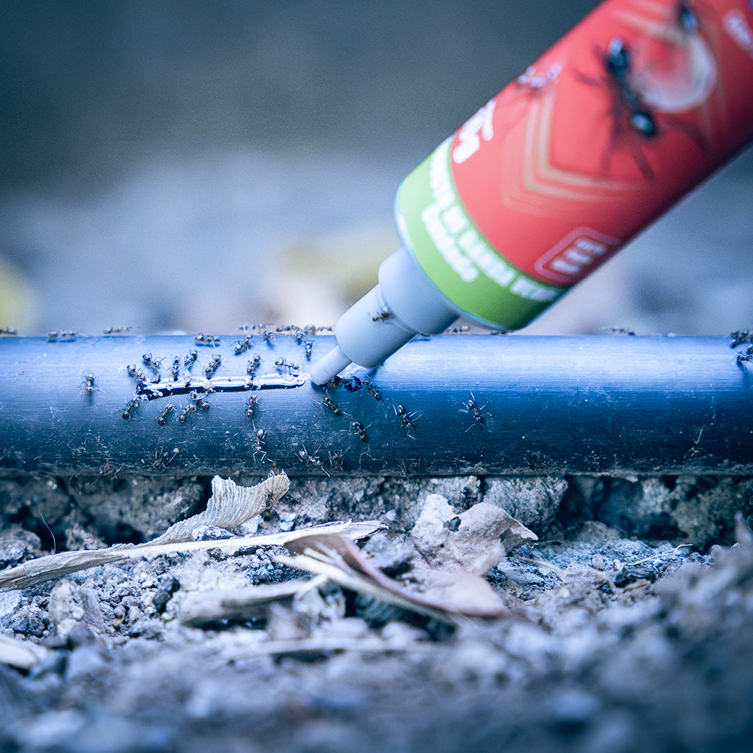 Hormiguicida Klerat gel 10 G.