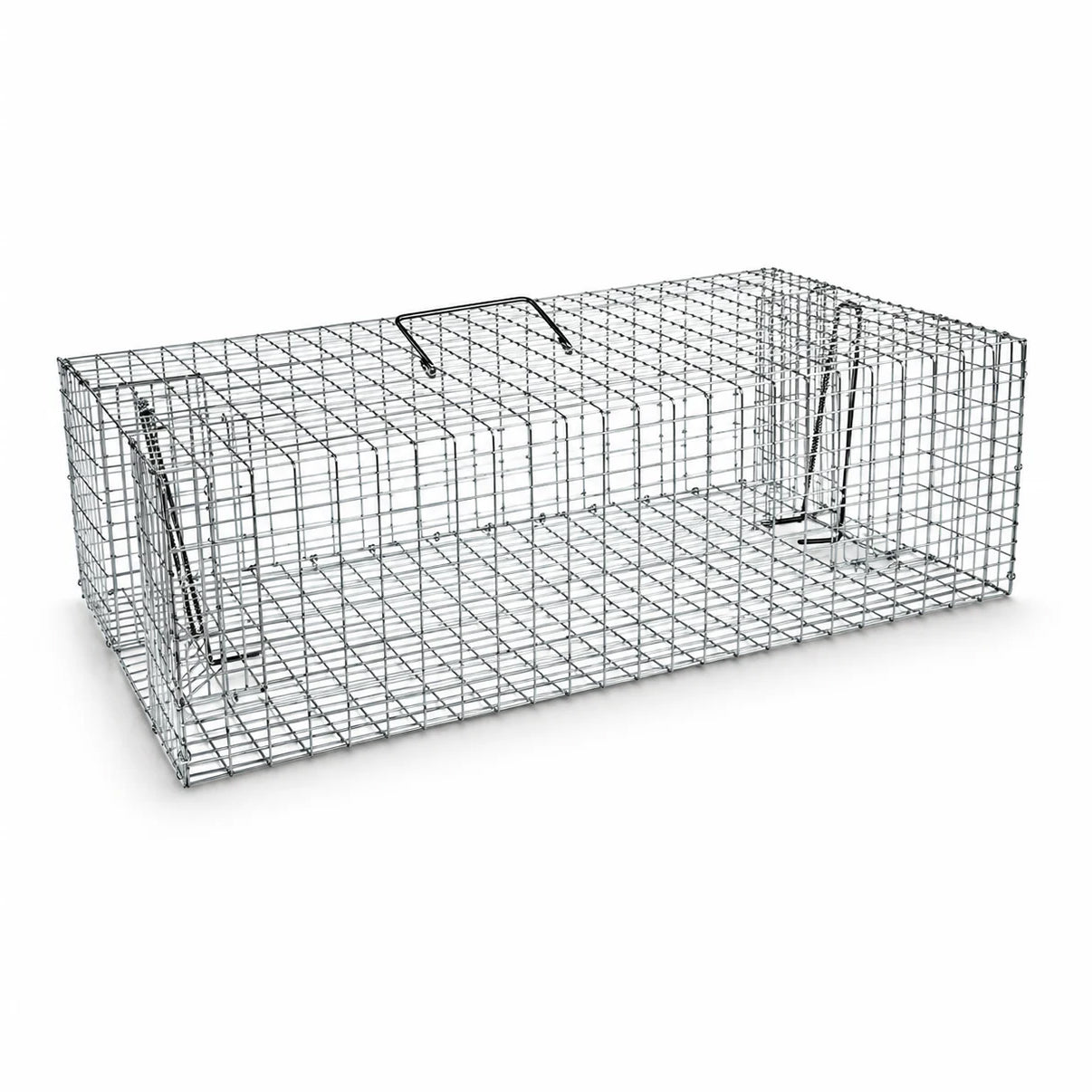 Jaula captura viva plegable para palomas Pigeon
