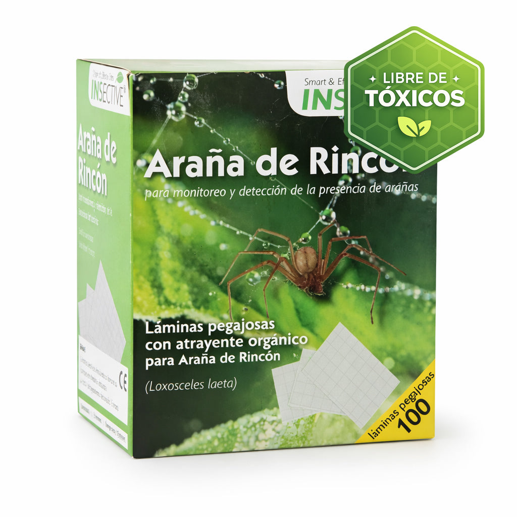 Láminas pegajosas IMS para arañas de rincón